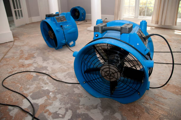 Trusted MT Water damage restoration Experts