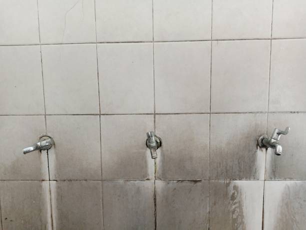 Best 24/7 water damage repair  in Bigfork, MT