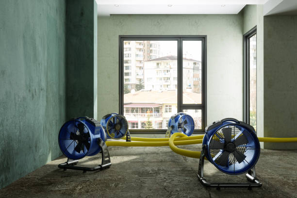 Best Sewage cleanup and water damage restoration  in Bigfork, MT